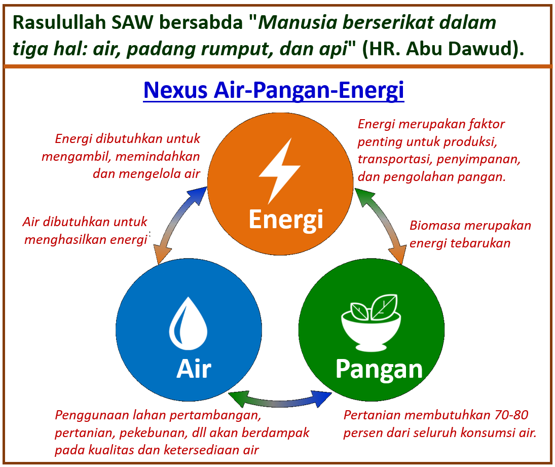 Ecomasjid Manusia Berserikat Dalam Air Pangan Dan Energi